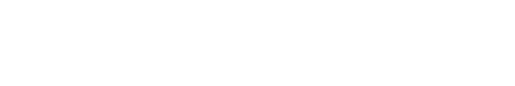 Mirrorworks